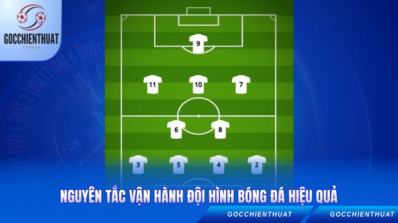 Sơ Đồ 4-2-3-1 - Chiến Thuật Vàng Bóng Đá Hiện Đại 2 Nguyên tắc vận hành đội hình bóng đá hiệu quả
