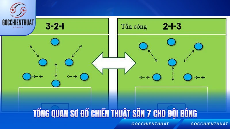 Tổng quan sơ đồ chiến thuật sân 7 cho đội bóng