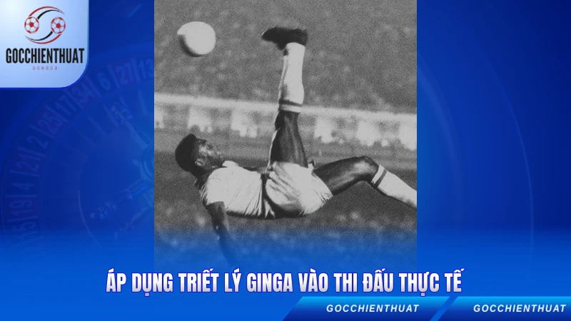 ap dung triet ly ginga vao thi dau thuc te