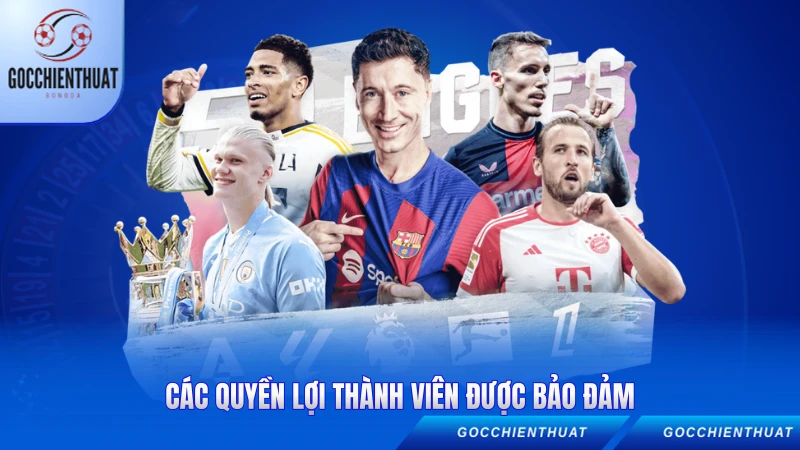 Các quyền lợi thành viên được bảo đảm