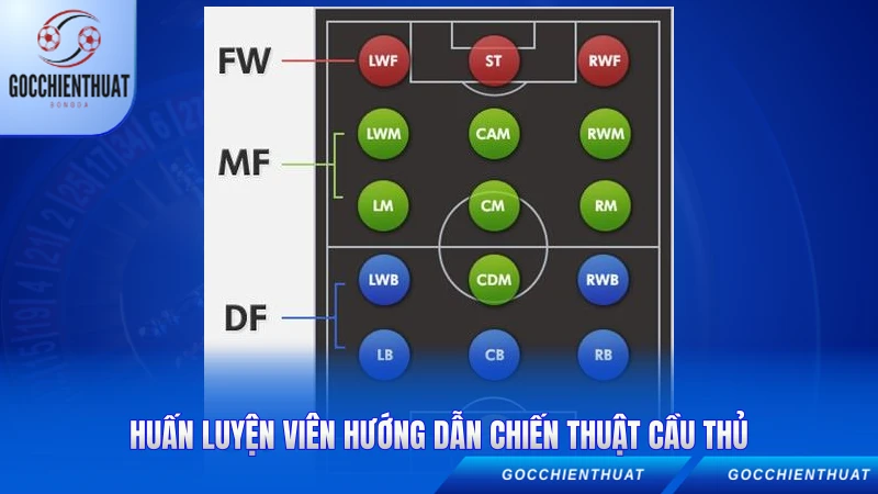 Các Vị Trí Bóng Đá - Hướng Dẫn Chi Tiết Từng Vai Trò 2026 3 Huấn luyện viên hướng dẫn chiến thuật cầu thủ