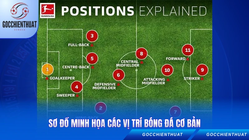 Các Vị Trí Bóng Đá - Hướng Dẫn Chi Tiết Từng Vai Trò 2026 1 Sơ đồ minh họa các vị trí bóng đá cơ bản