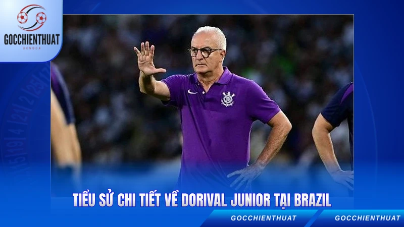 Tiểu sử chi tiết về Dorival Junior tại Brazil