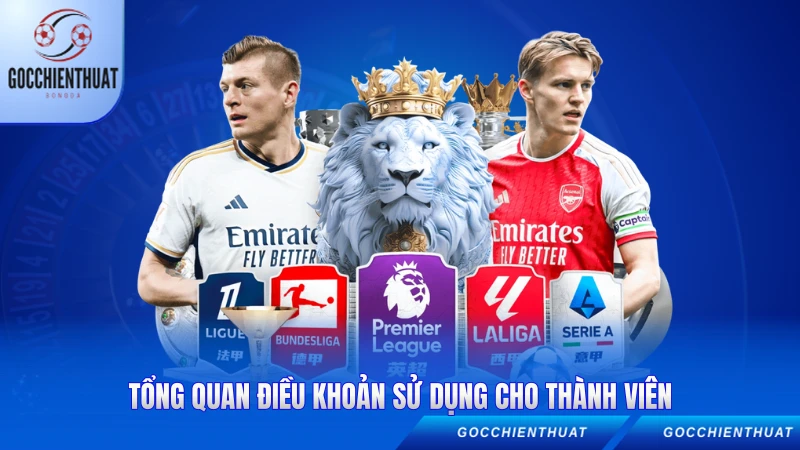 Tổng quan điều khoản sử dụng cho thành viên